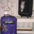 Stenciled Luggage