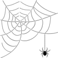 140SpiderWeb