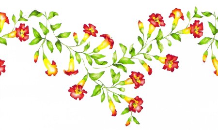 trumpet-flower