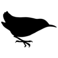 New BASIC Stencils from Stencil Ease